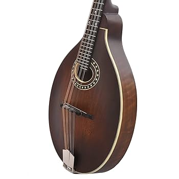 Amazon | Eastman MD304 マンドリン Aスタイル クラシック仕上げ